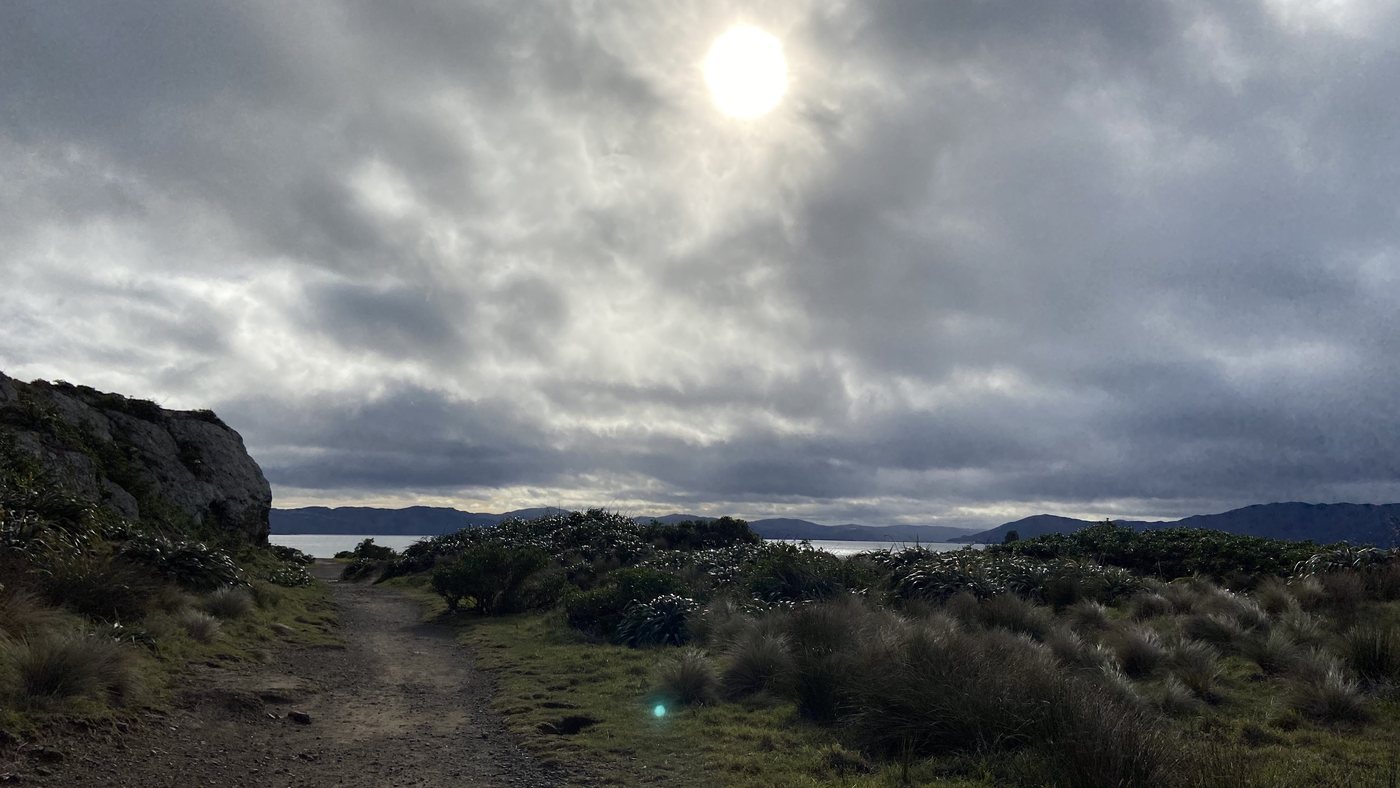 Coastal scrub under heavy cloud