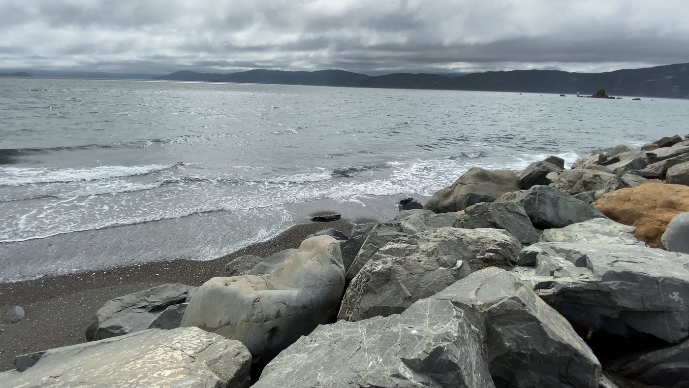 Rocks and surf at Seatoun